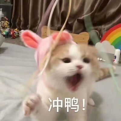 这世界很烦 但你要很可爱