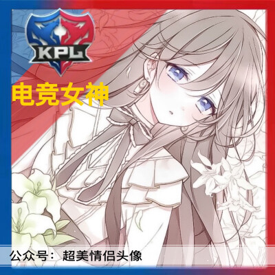 王者荣耀最新kpl职业头像