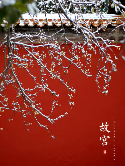 红墙白雪,故宫的冬天