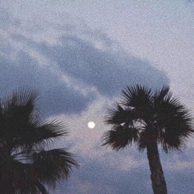 正方形 | 背景