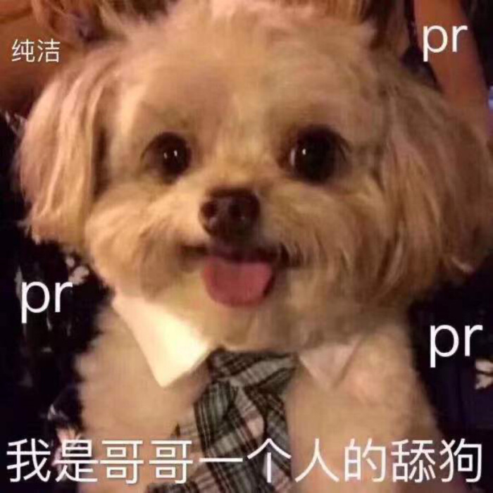狗 表情包