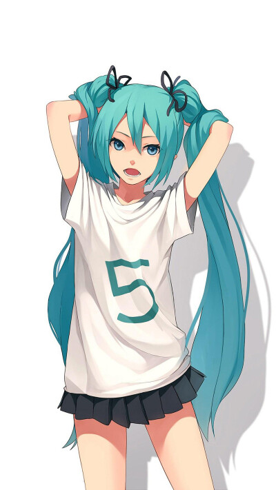 动漫初音双马尾*