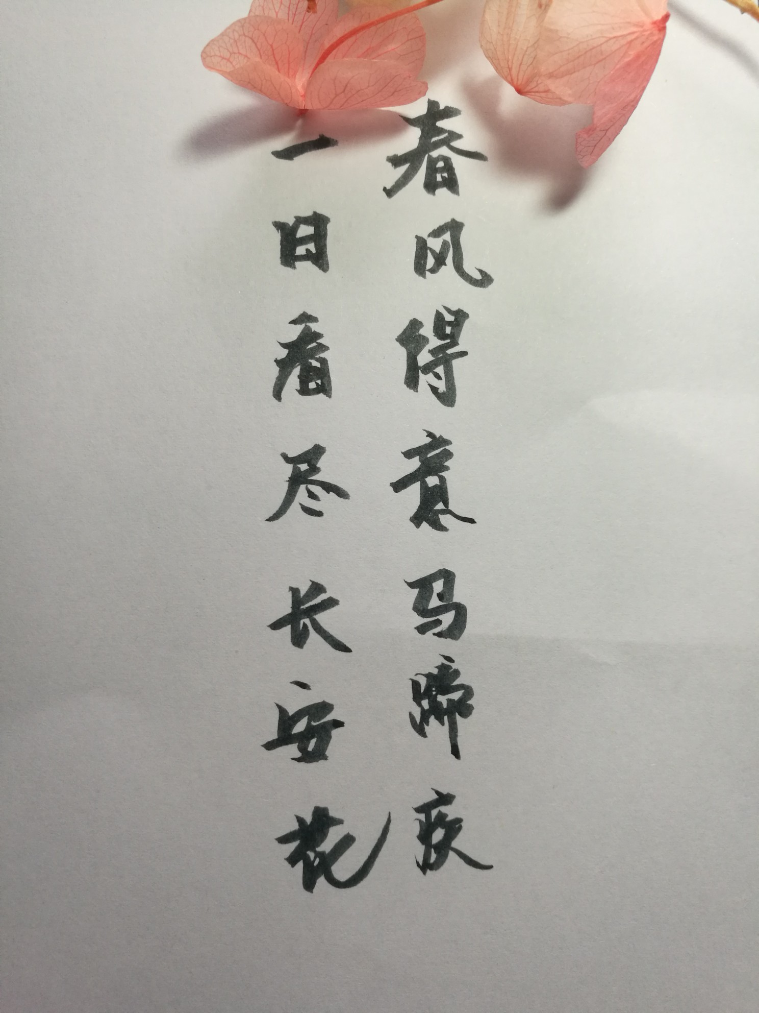 手写文字 摘录 古风 情感 短句 唯美 文字控 伤感 歌词 经典 文字句子