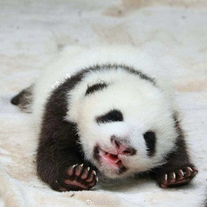 伸懒腰