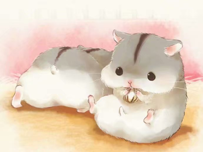 萌萌的仓鼠,给你一个少女心.