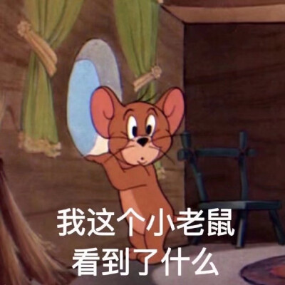 tom and jerry 表情包 猫和老鼠