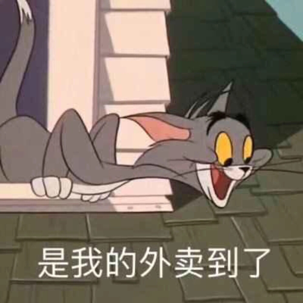 tom and jerry猫屯老鼠