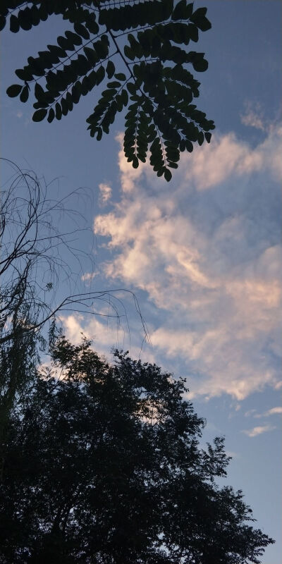 高质量风景壁纸