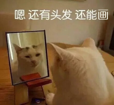 美术生专用表情包