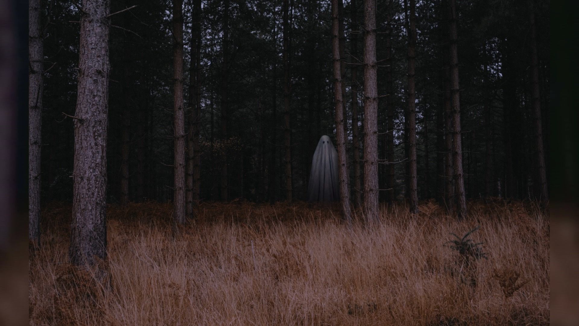 森林中的幽灵