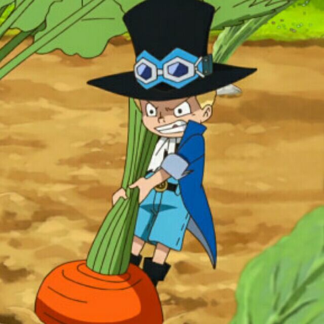 海贼王三人兄弟头像