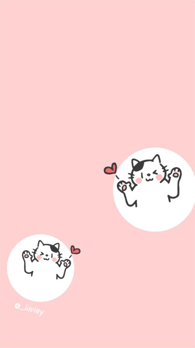 可爱猫咪
