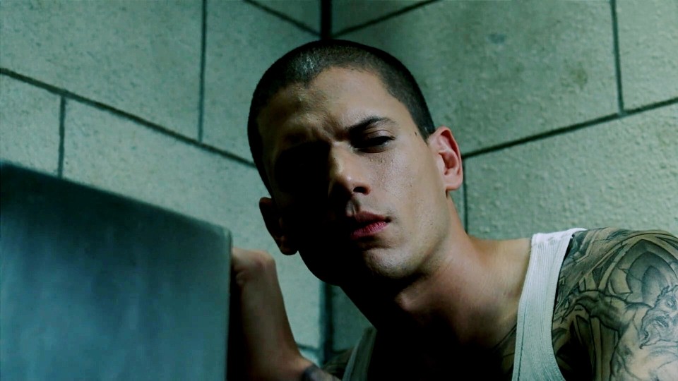 越狱prison break wentworth miller