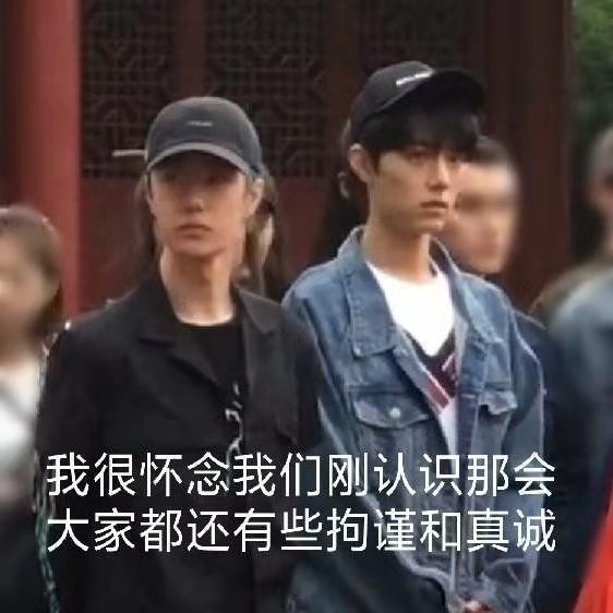 王一博肖战表情包