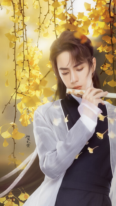 王一博 新国风造型#王一博梦幻独家营业 银杏树下的少年 cr:logo