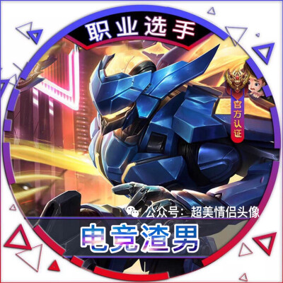 职业头像,公孙离周瑜张良元歌狄仁杰曜