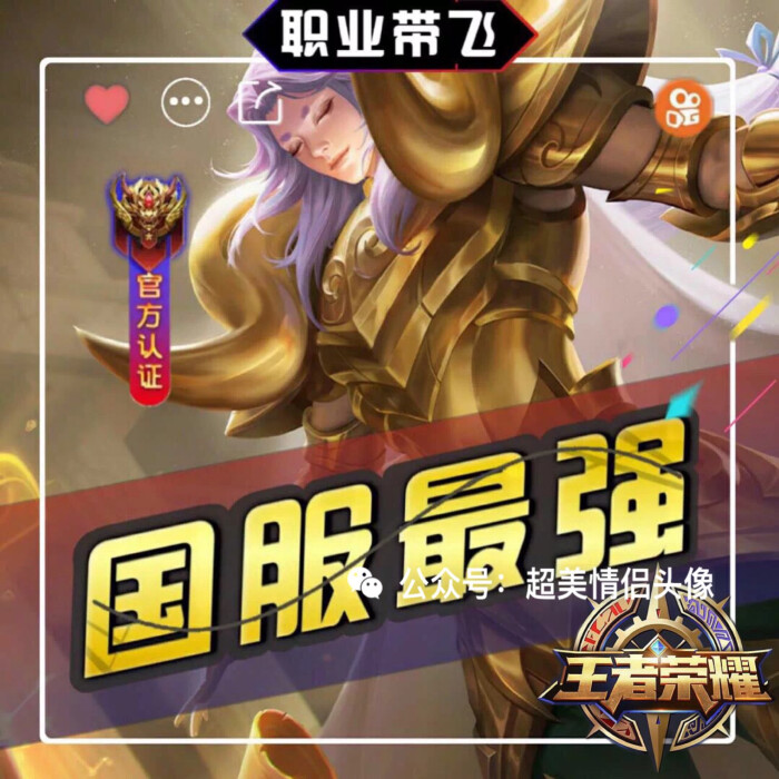 职业头像,王者云中君伽罗娜可露露小乔沈梦溪嫦娥