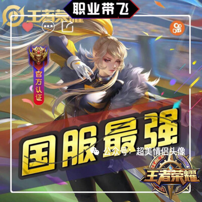 职业头像,王者云中君伽罗娜可露露小乔沈梦溪嫦娥