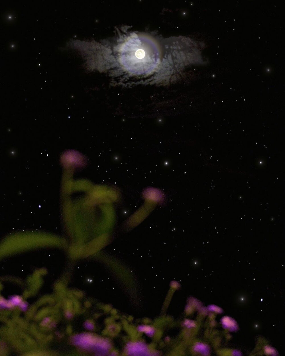 午夜星辰 堆糖网