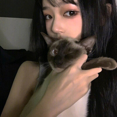 猫女♀