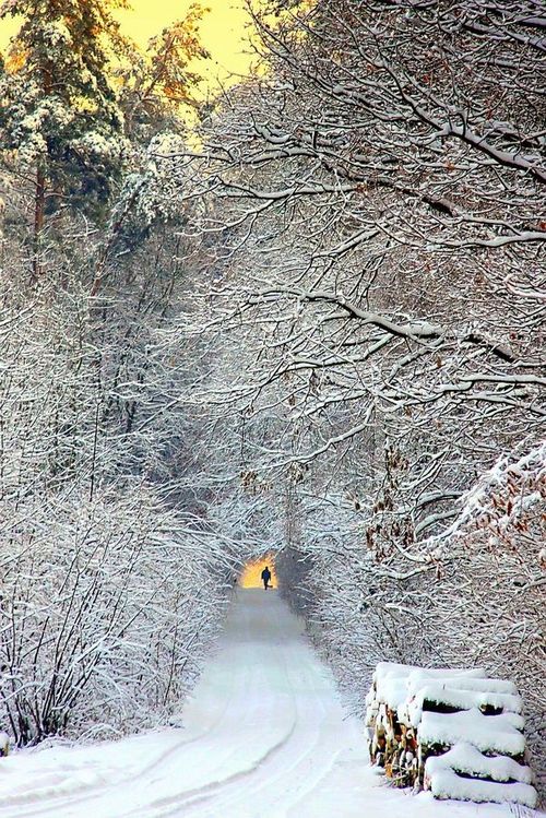 雪景- 堆糖,美图壁纸兴趣社区