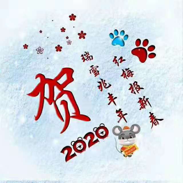 2020 瑞雪兆丰年姓氏头像