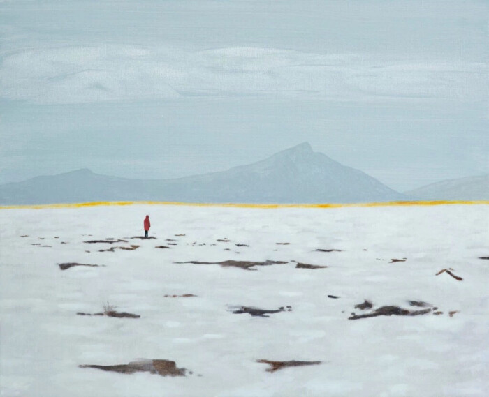 但有岁寒心,听雪落空山.