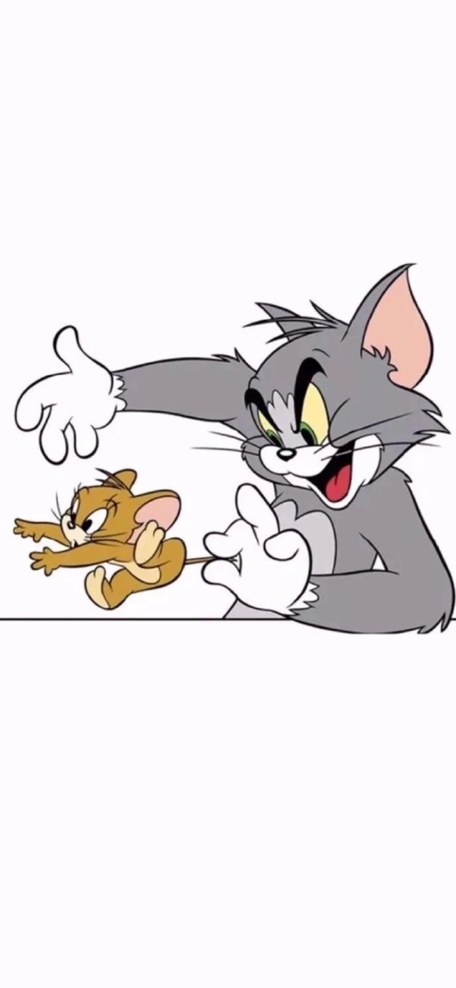 猫和老鼠