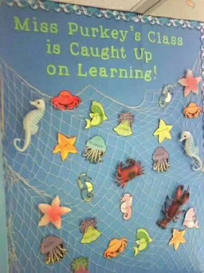 大班海洋主题墙