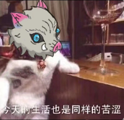 嘴平伊之助 猪猪 猪突猛进 鬼灭之刃 表情包