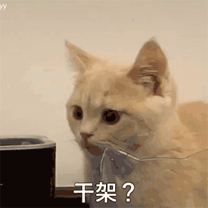 猫猫表情(阔耐)