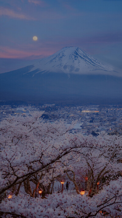 富士山