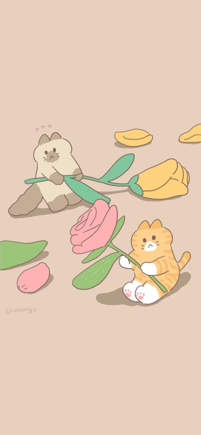 猫猫可爱动图