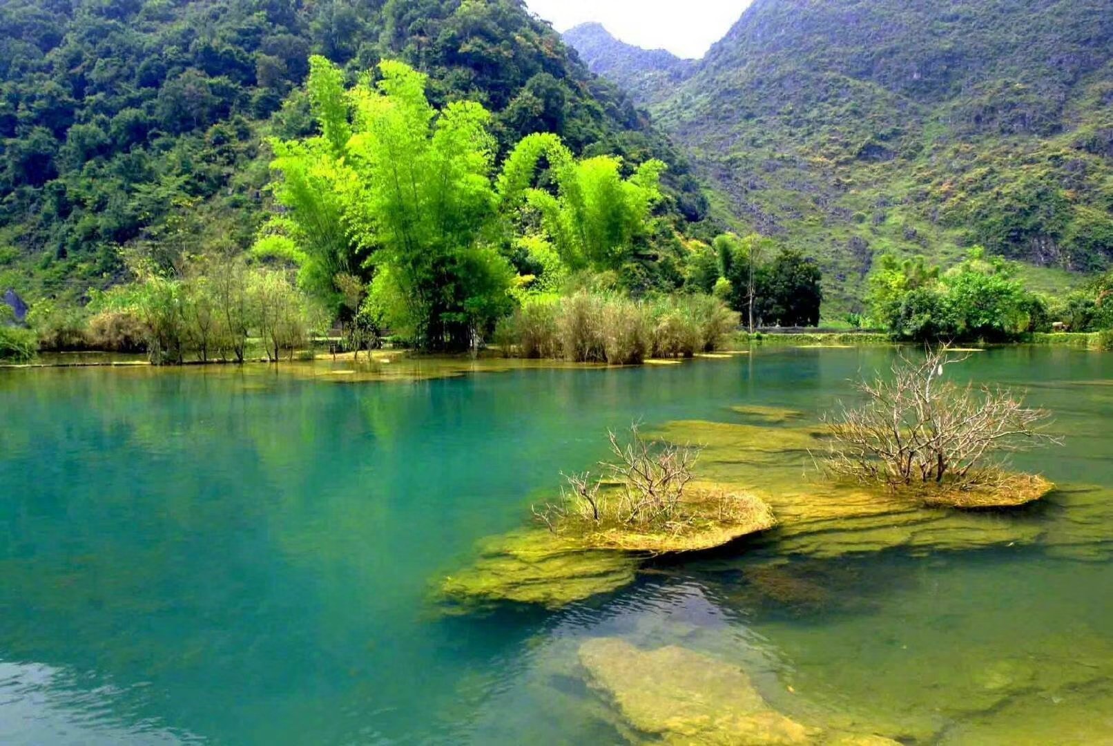 和环妹一起来旅行# 边境小城靖西山清水秀独特的喀斯特风貌真的很美