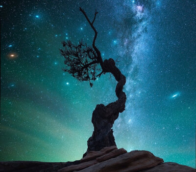 仰望星空的头像