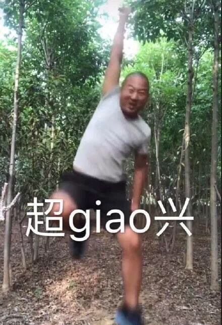 giao哥结婚#因一句"一给我里giaogiao"走红的表情包giao哥结婚了