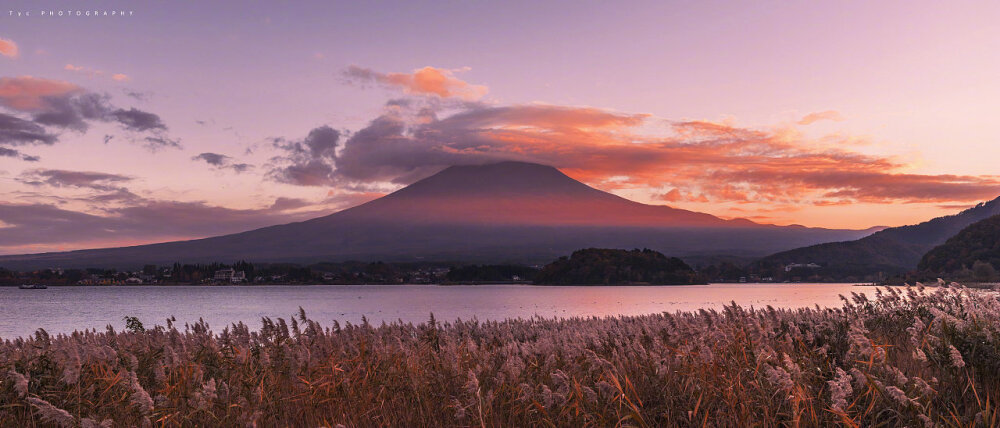 富士山下偶遇你与樱花