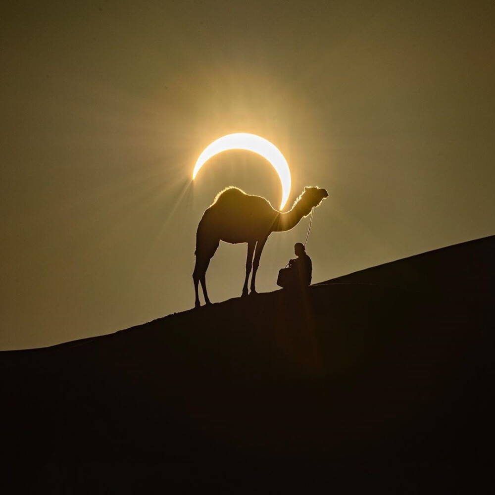 20191226 日偏食 大漠 与 骆驼 拍摄于阿布扎比 ins:shadi_alrefai