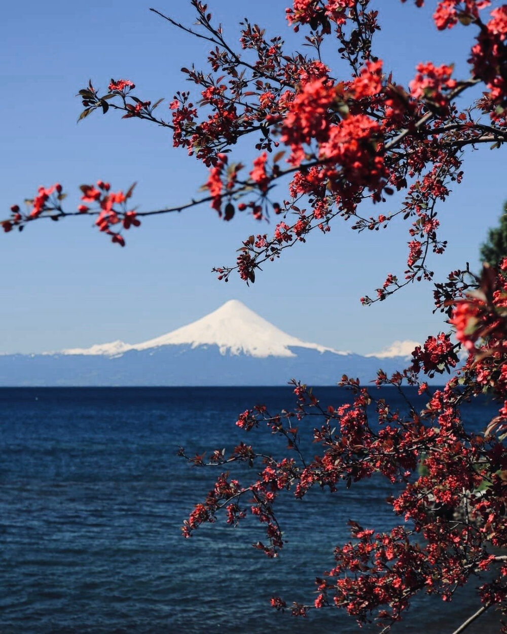 富士山下的美景
