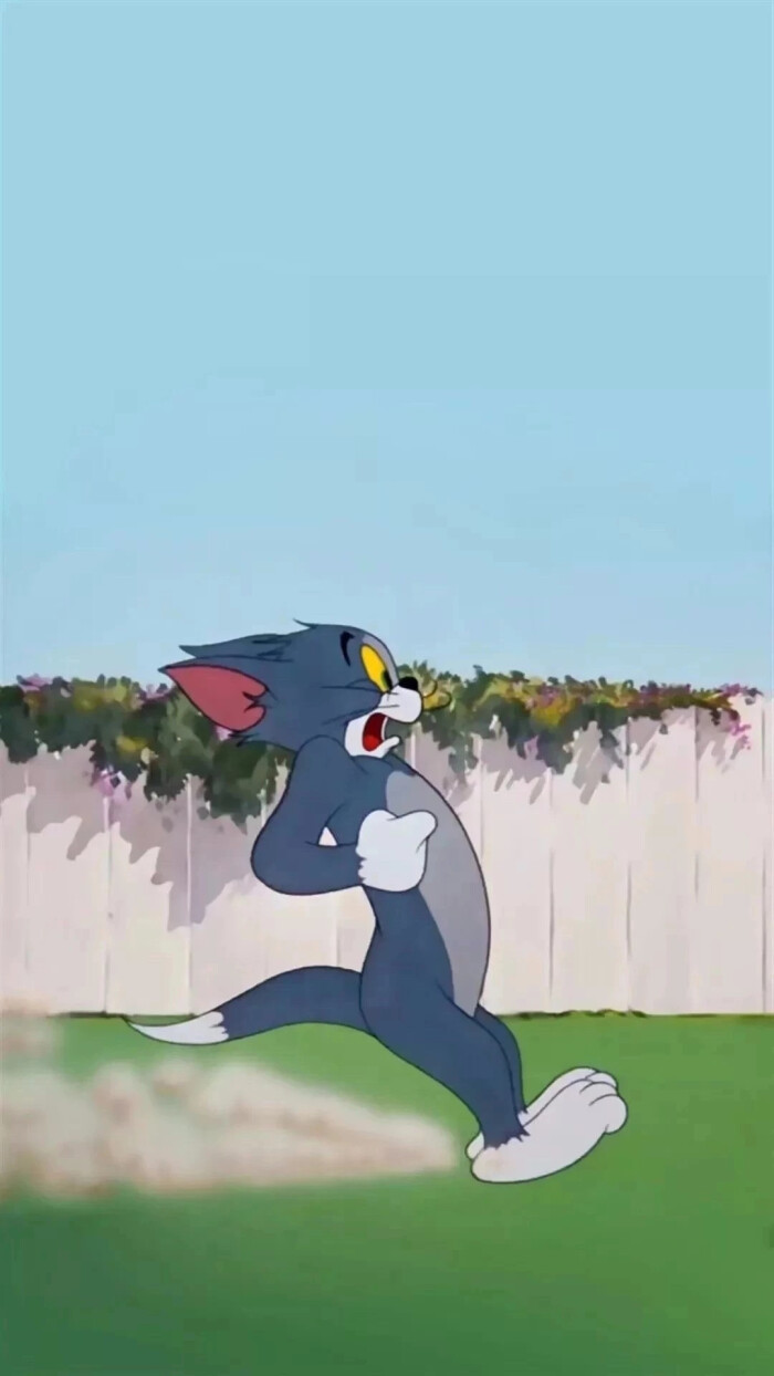 猫和老鼠 - 堆糖,美图壁纸兴趣社区