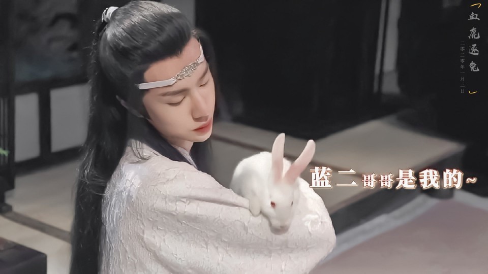 王一博×剧版蓝忘机