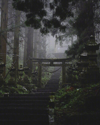 神社相信对于爱看动漫的人来说,对于那些经常出现在二次元的场景都会