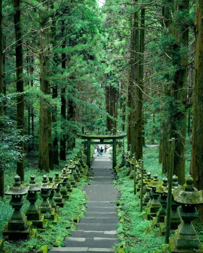 日本奇幻之景 | 萤火之森取景地上色见熊野座神社相信对于爱看动漫的