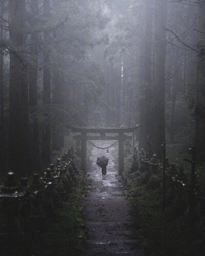 日本奇幻之景 | 萤火之森取景地上色见熊野座神社相信对于爱看动漫的