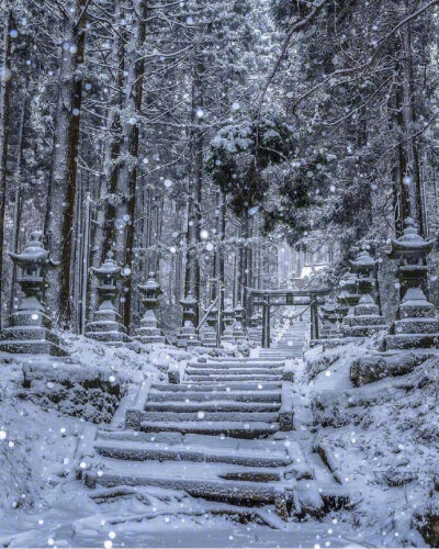 日本奇幻之景 | 萤火之森取景地上色见熊野座神社相信对于爱看动漫的