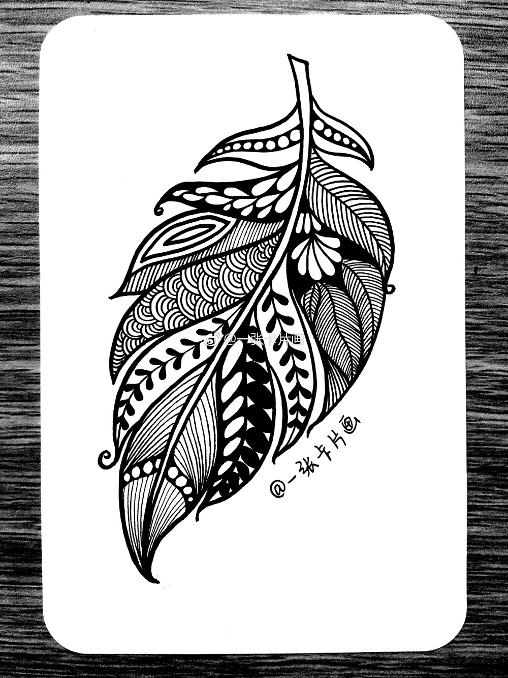 黑白插画羽毛作者一张卡片画