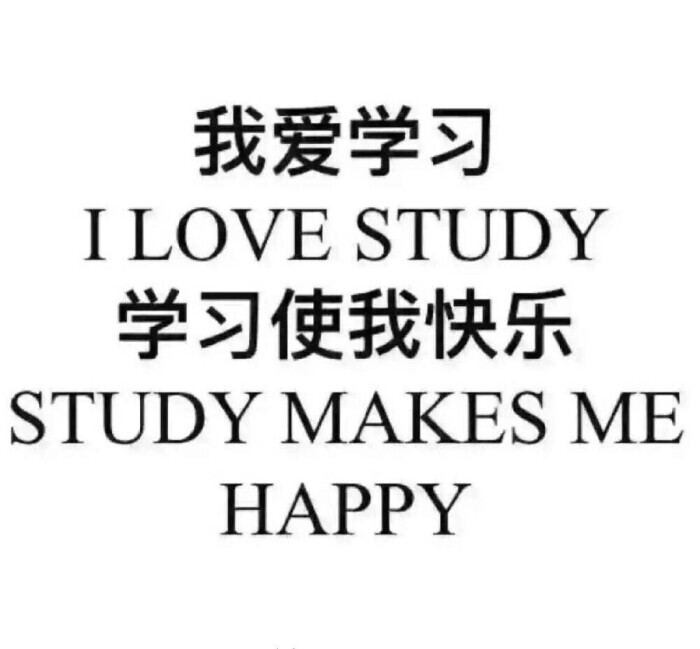 好好学习,天天向上 study hard and make progress every day.