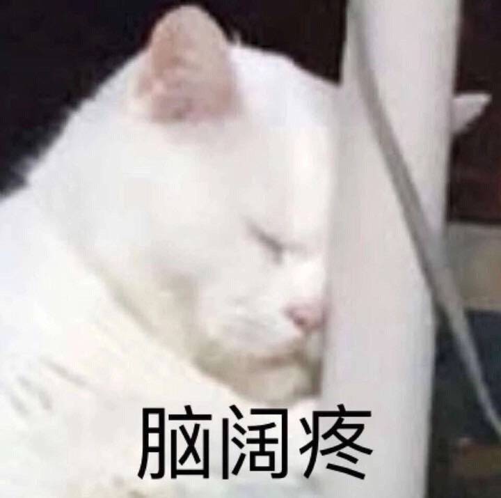 猫猫表情包