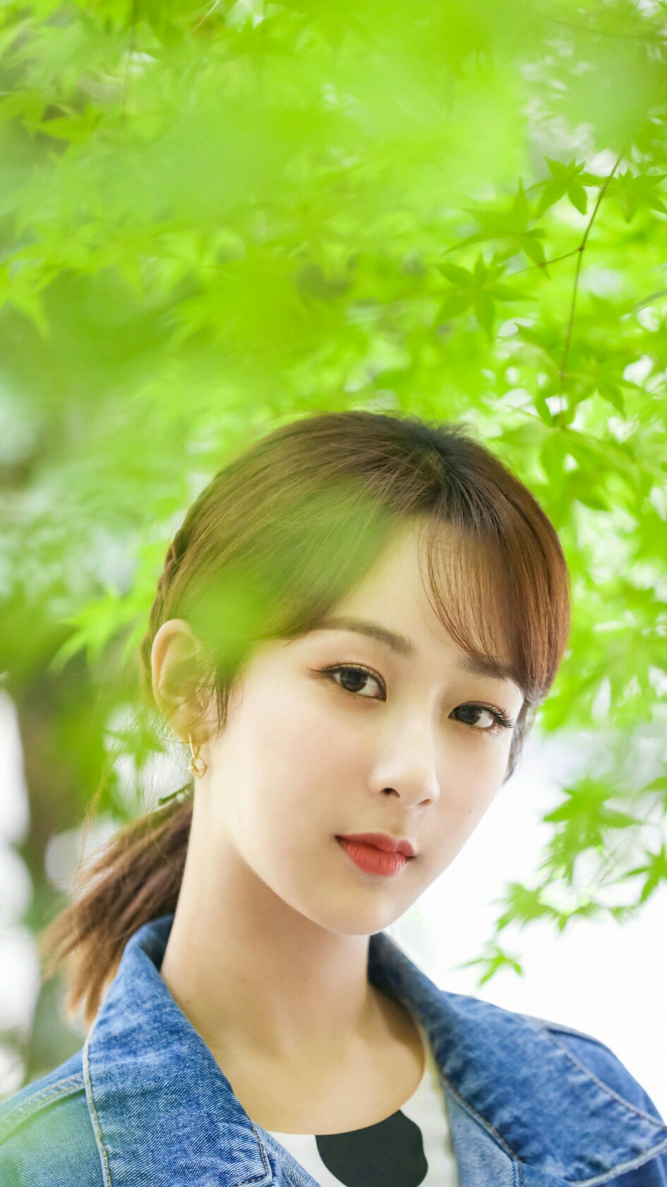 杨紫