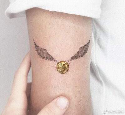 纹身图案《哈利波特》金色飞贼来源微博